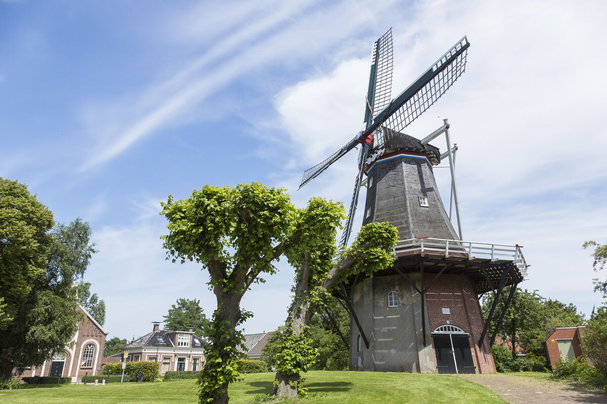 molen de vier winden