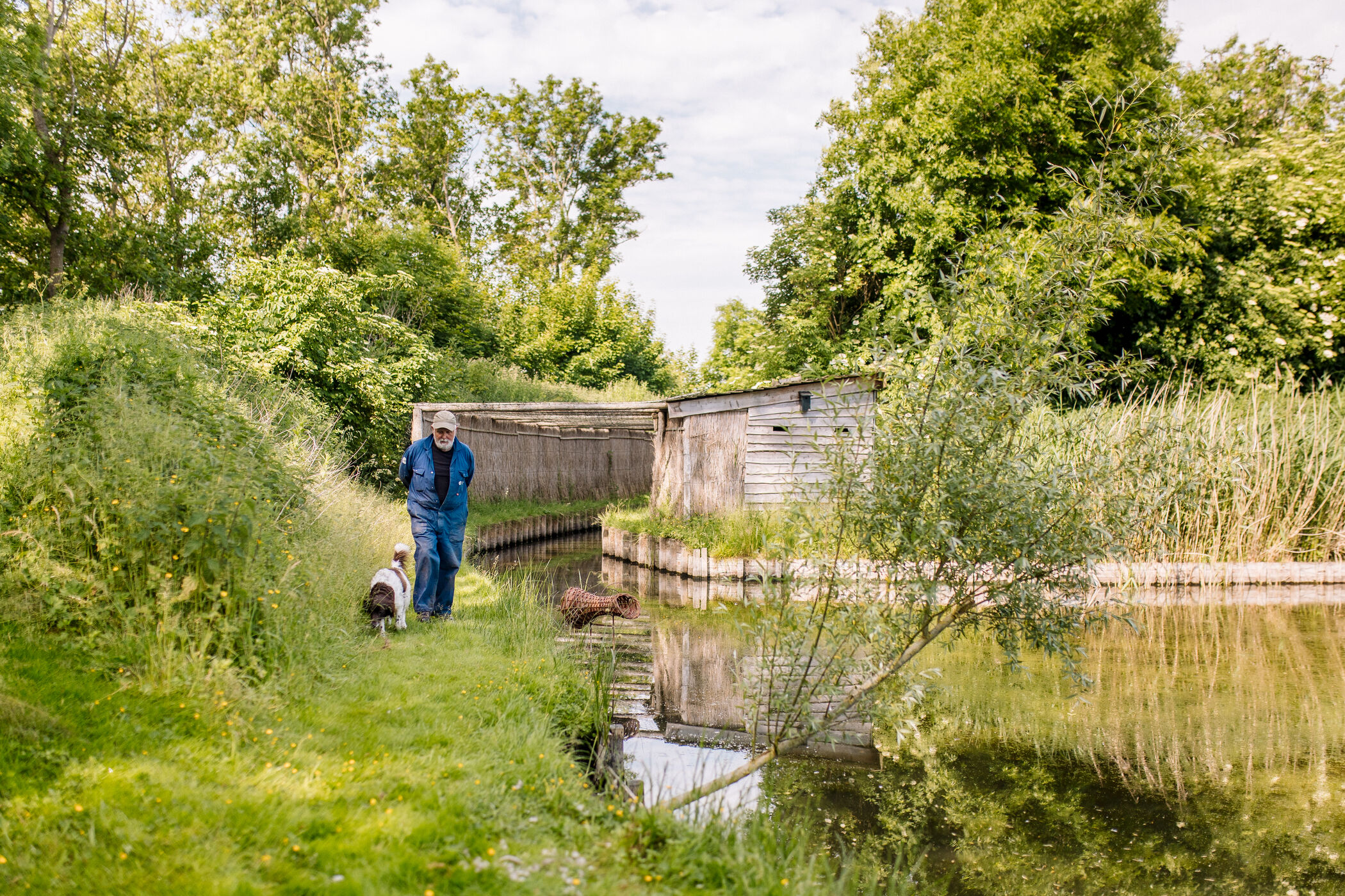 Vrijwilliger in eendenkooi Nieuw Onrust