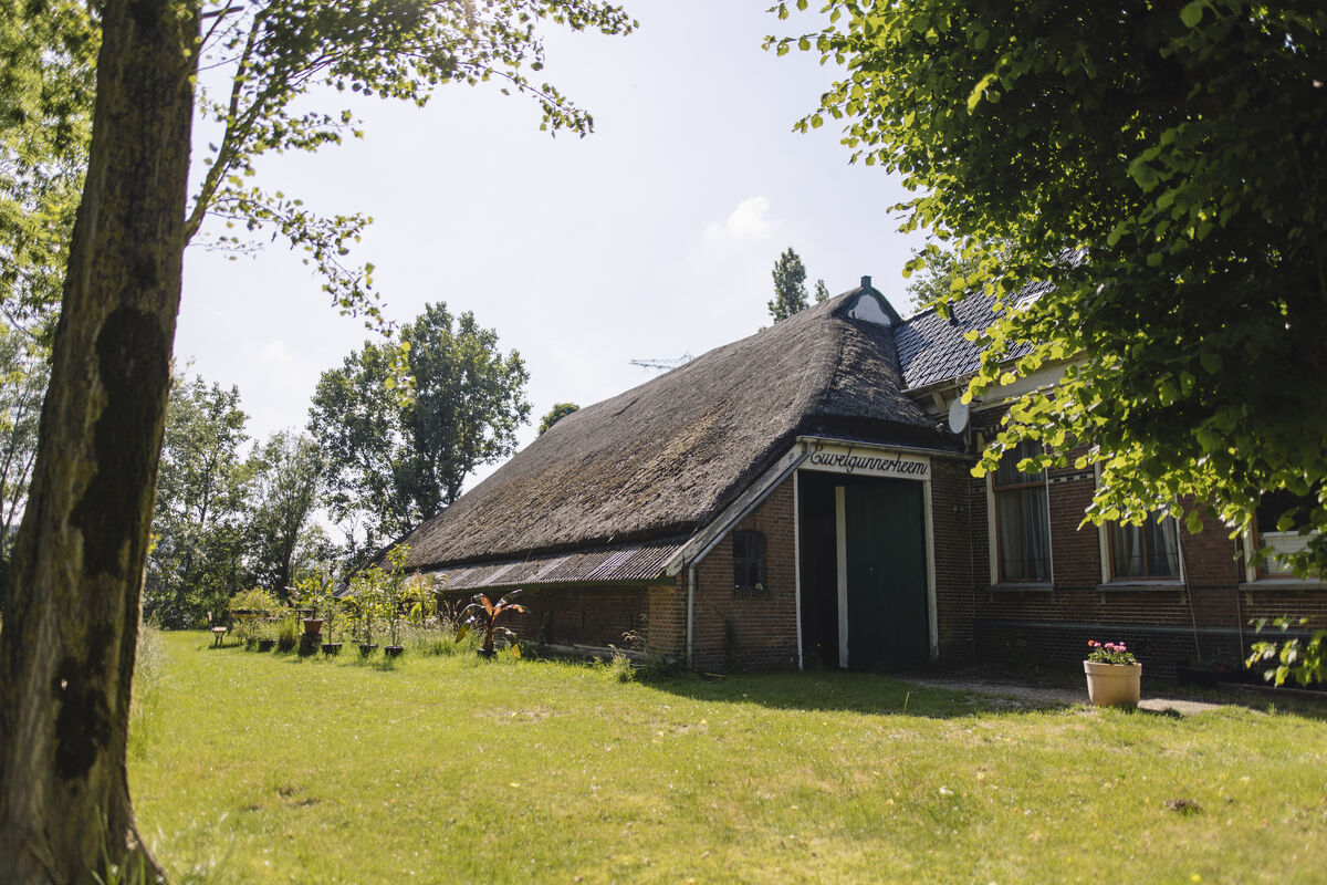 Euvelgunnerheem - oude situatie