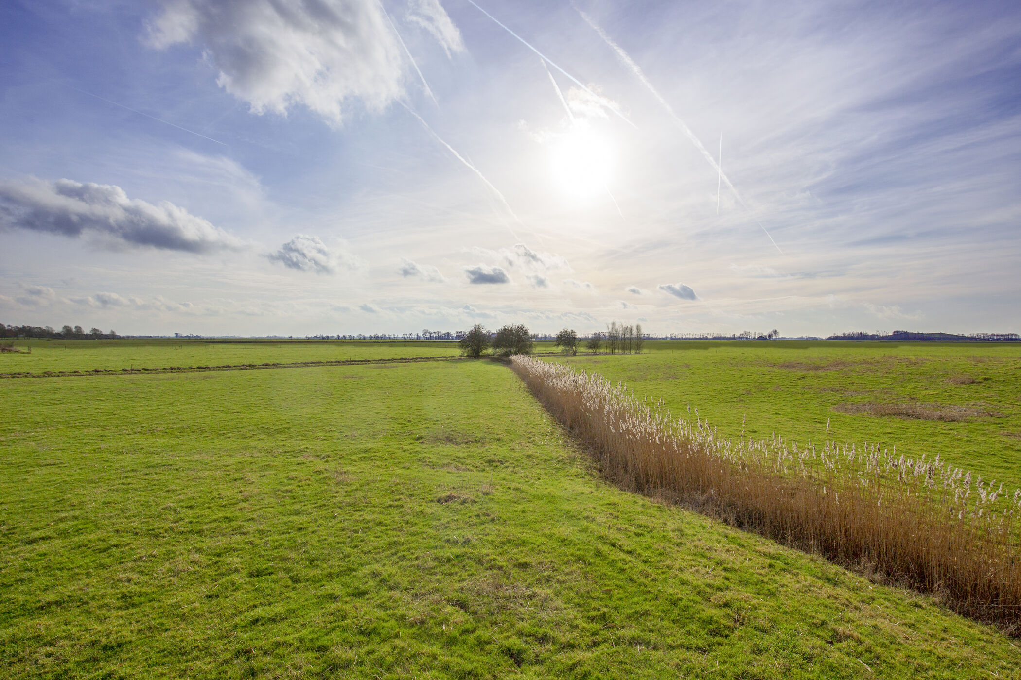 Helwerder wierden