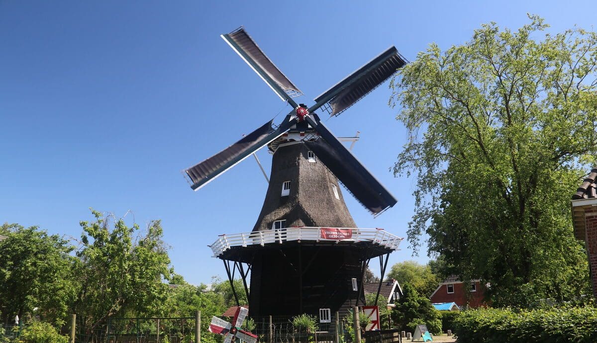 molen de leeuw