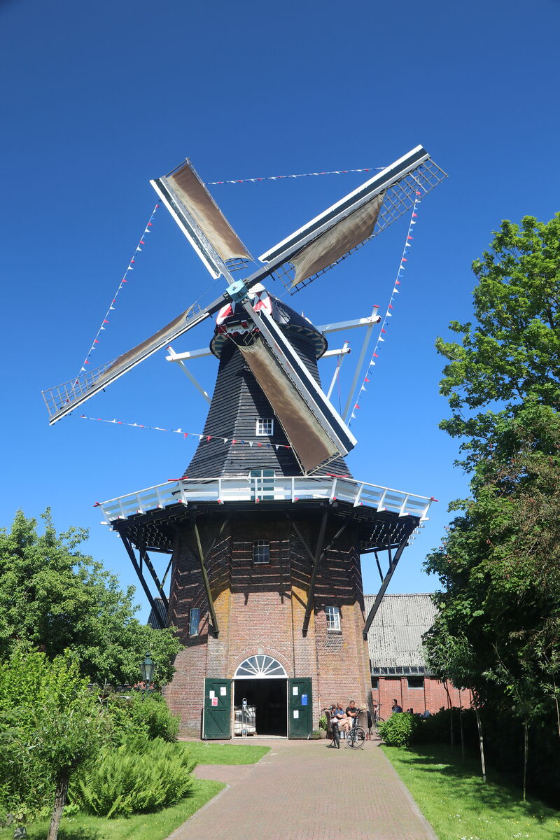 molen de stormvogel