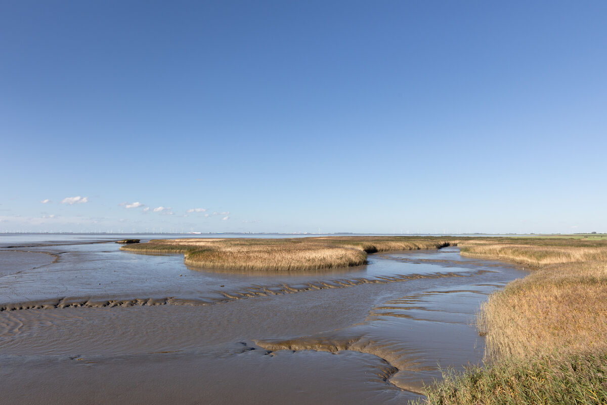 uitzicht op slib