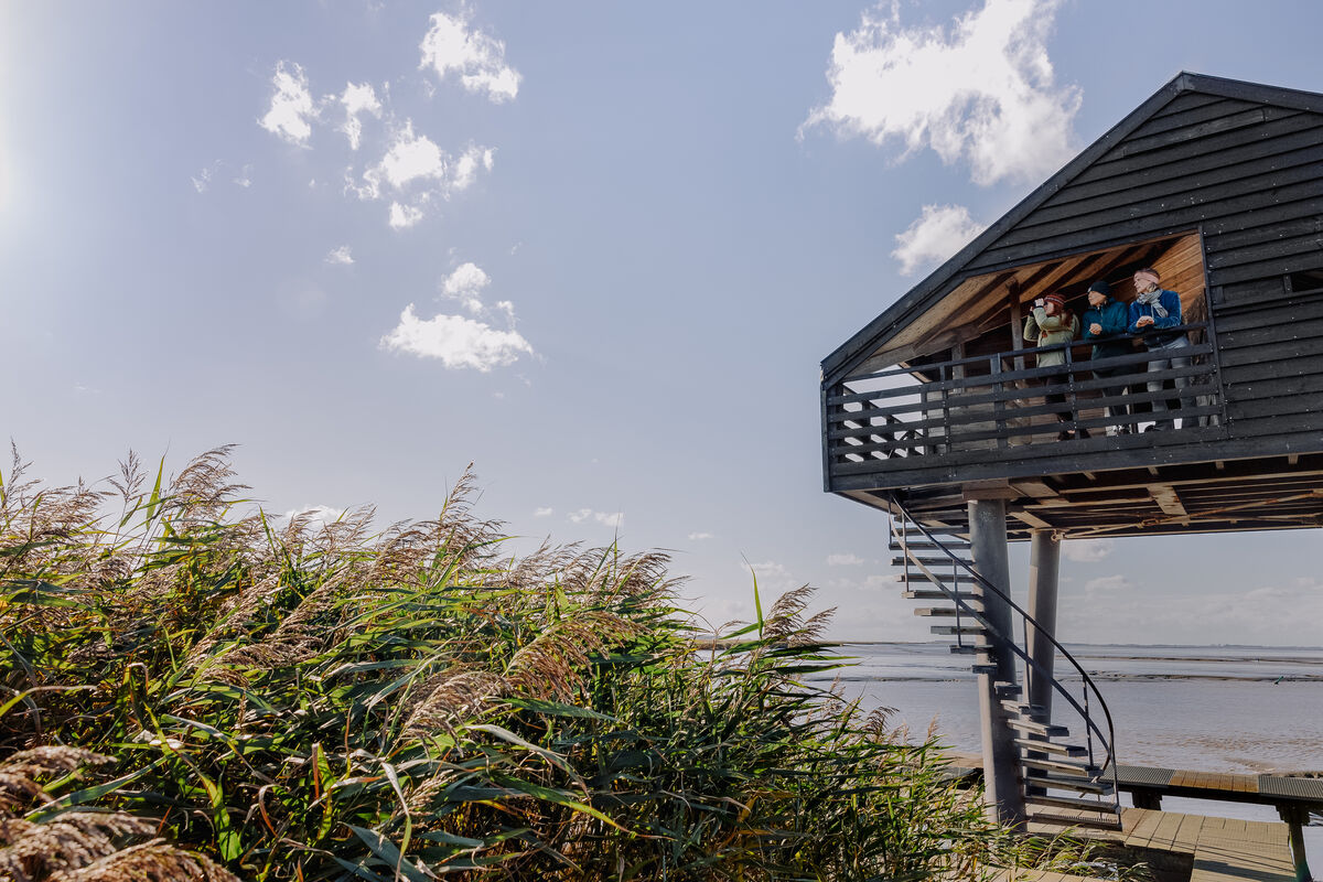 Vogelkijkhut Kiekkaaste