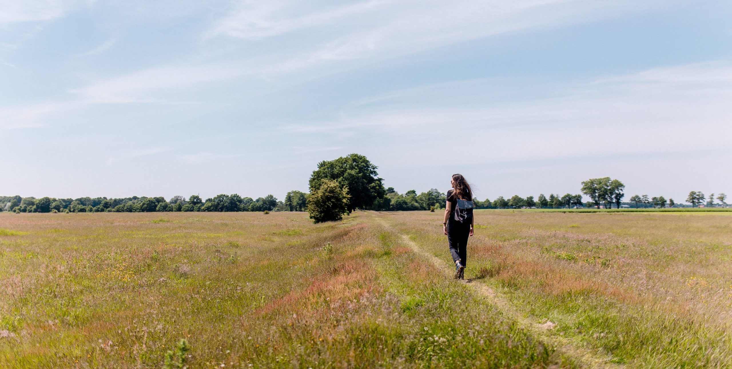 Wandelen Bourtangerveld