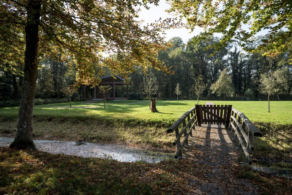 bos bij Coendersborg, Groningen