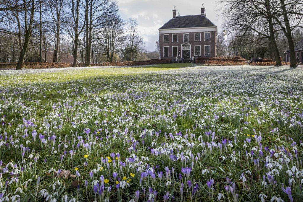 Ennemaborg in Groningen, Borg in Groningen