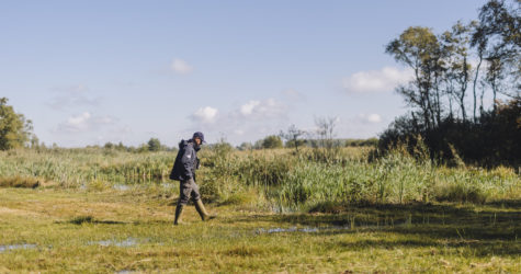 Natuurbeheerder wandelt door natuurgebied Harener Wildernis