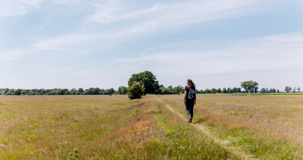 Wandelen op het Bourtangerveld