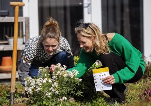 Nationale Bijentelling