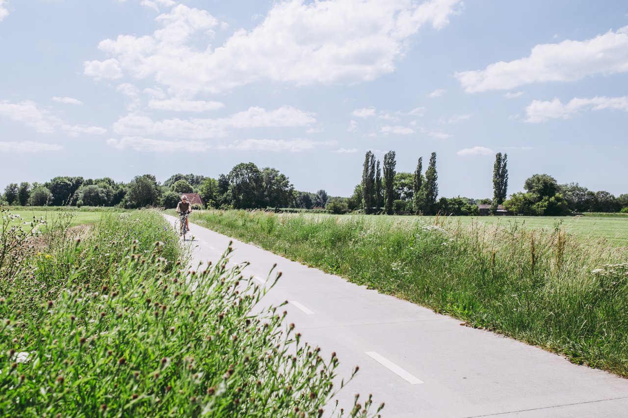 man fietst over fietspad door groen gebied
