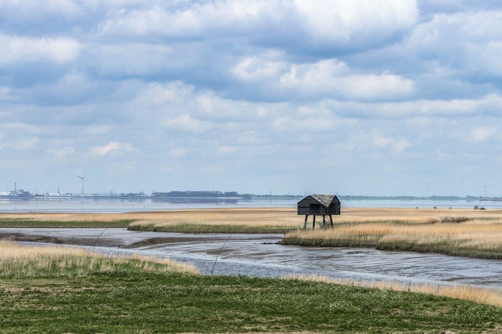 Kiekkaaste Nieuwe Statenzijl