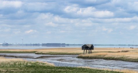 Kiekkaaste Nieuwe Statenzijl