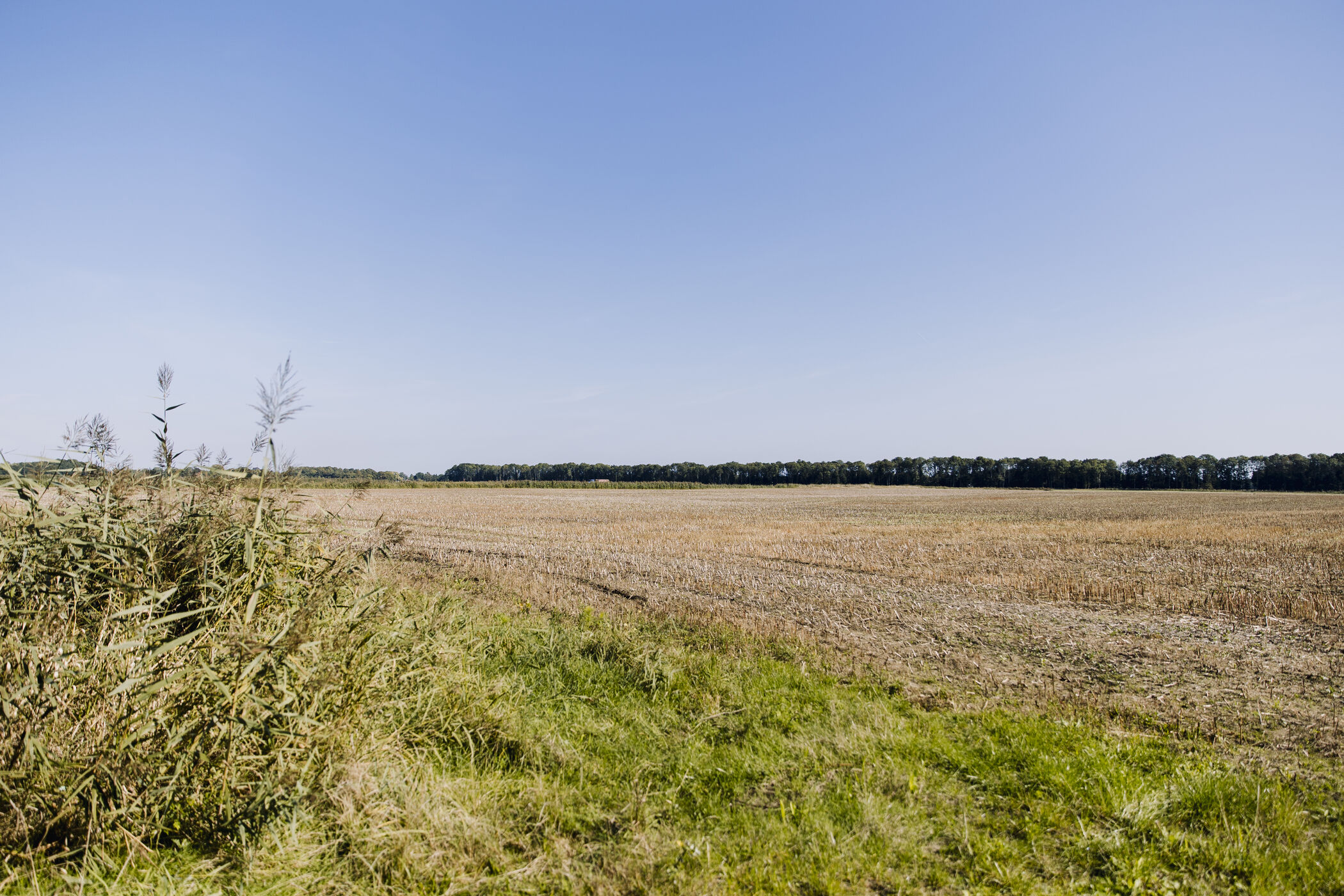 Natuurinclusieve landbouw Midwolder Bouwten Midwolda
