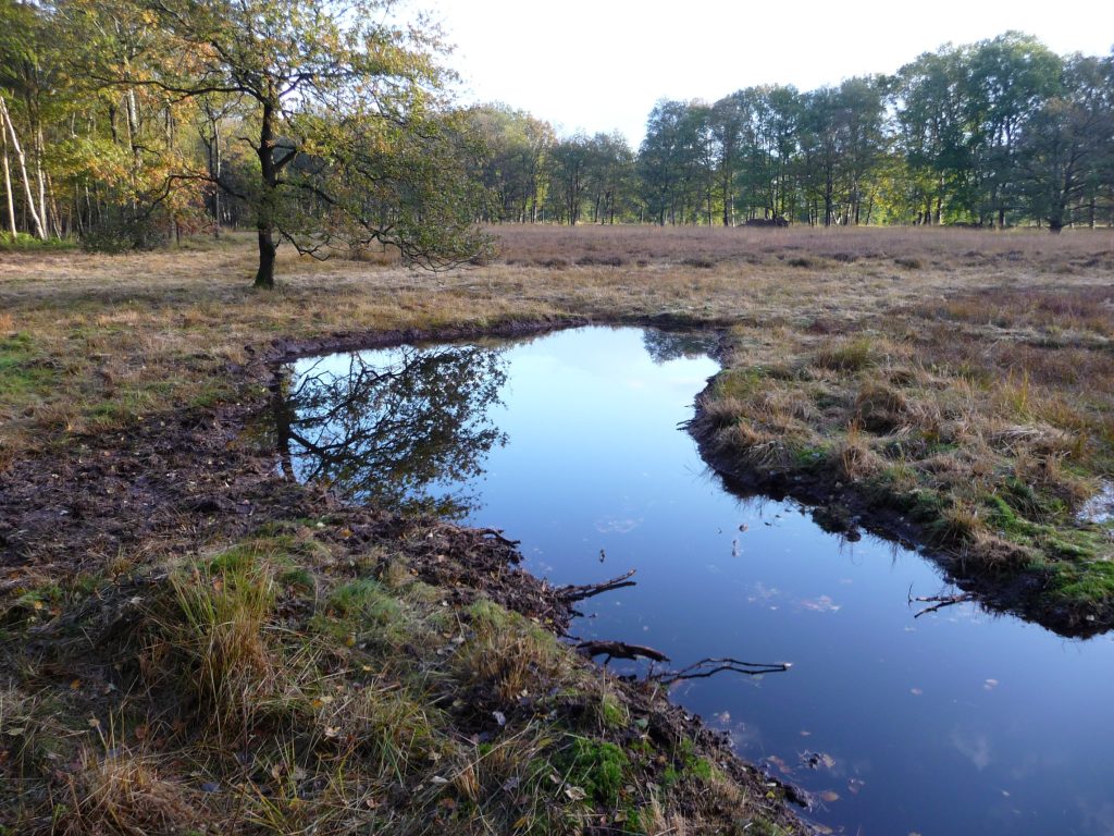 heideterrein Coendersborg - oude situatie