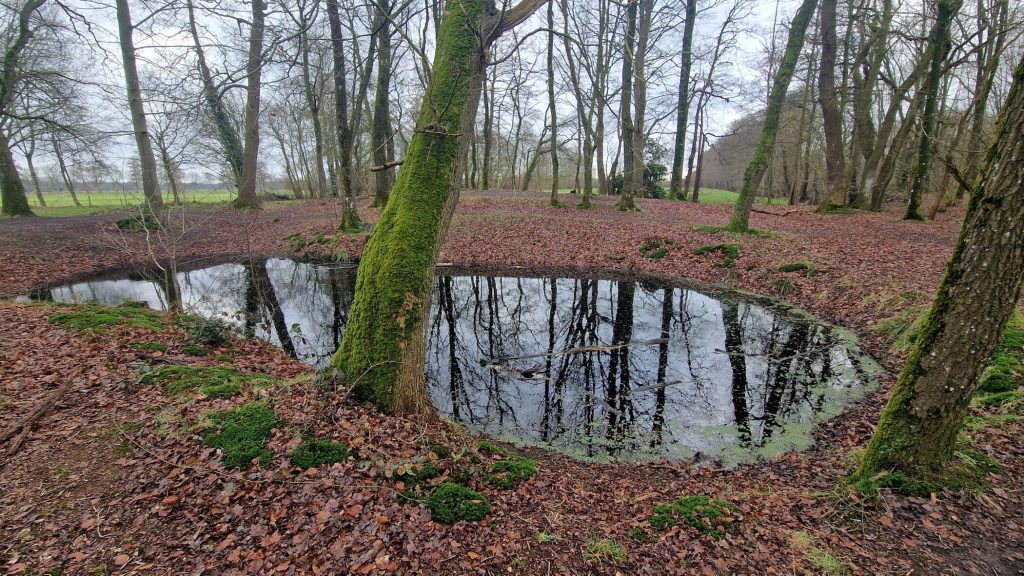 Viskenij Landgoed Coendersborg