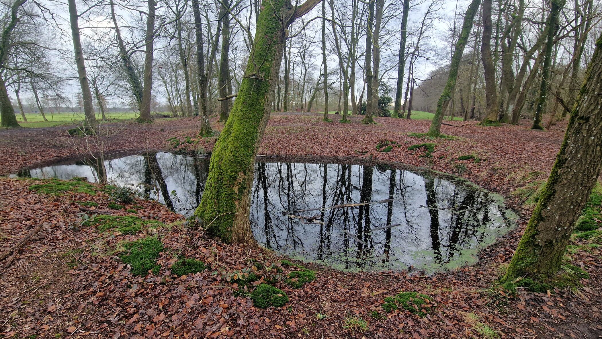 Viskenij Landgoed Coendersborg