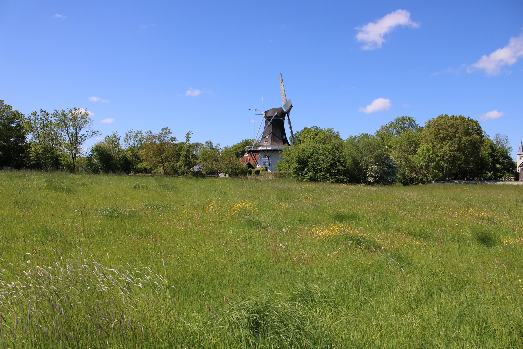 Wierde Feerwerd en molen