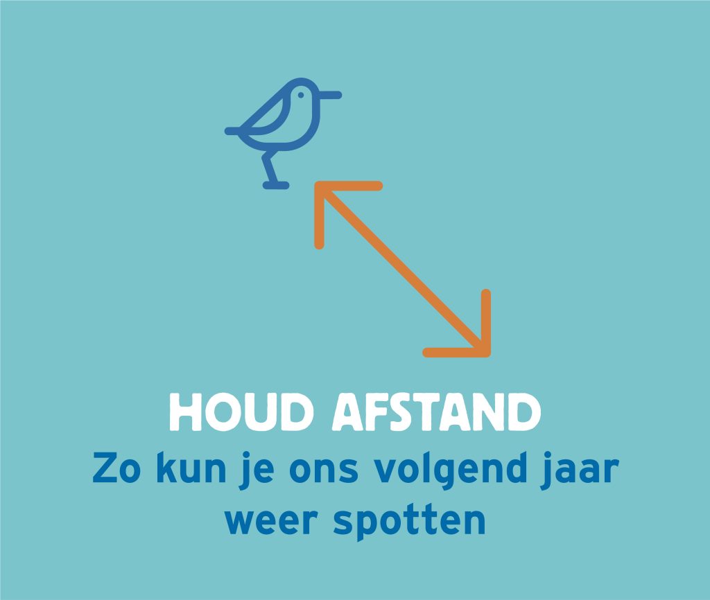 Handelsperspectief Wij en Wadvogels: houd afstand