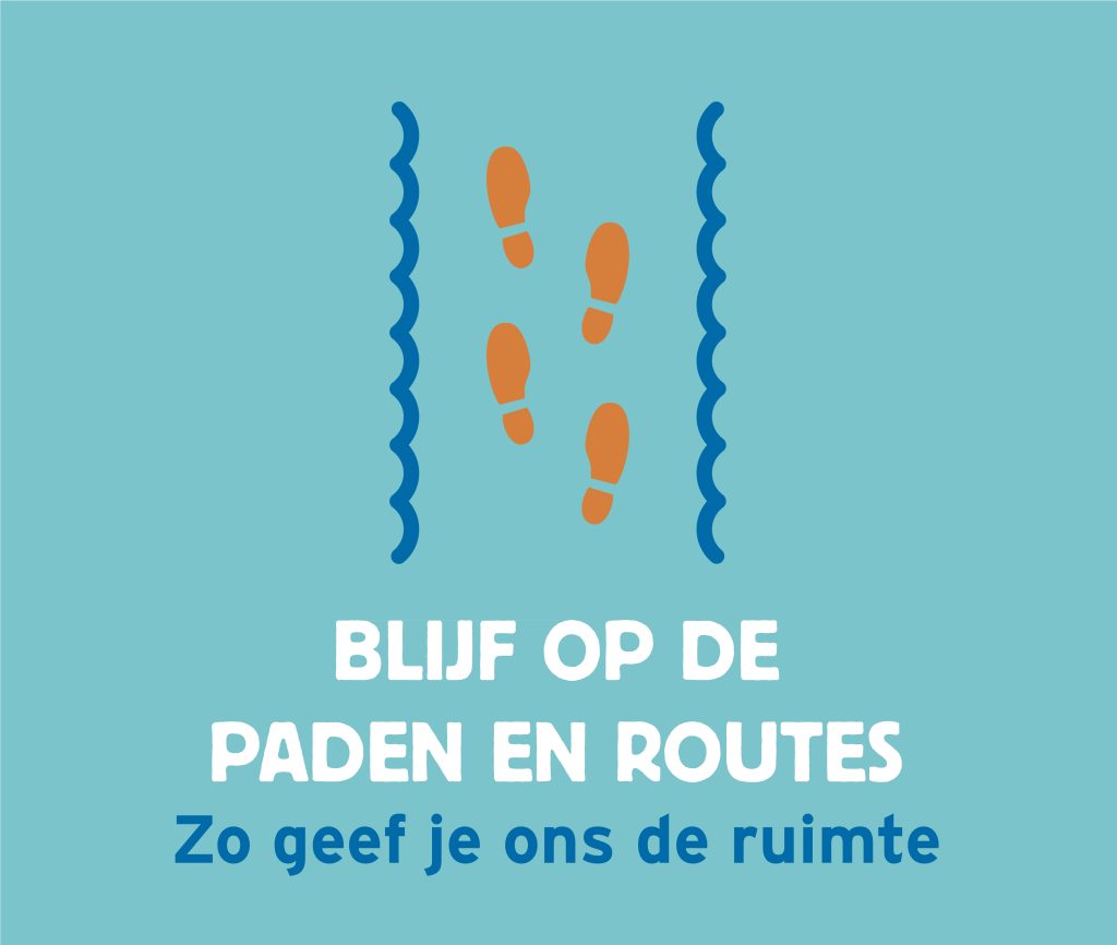 Handelsperspectief Wij en Wadvogels: blijf op de paden