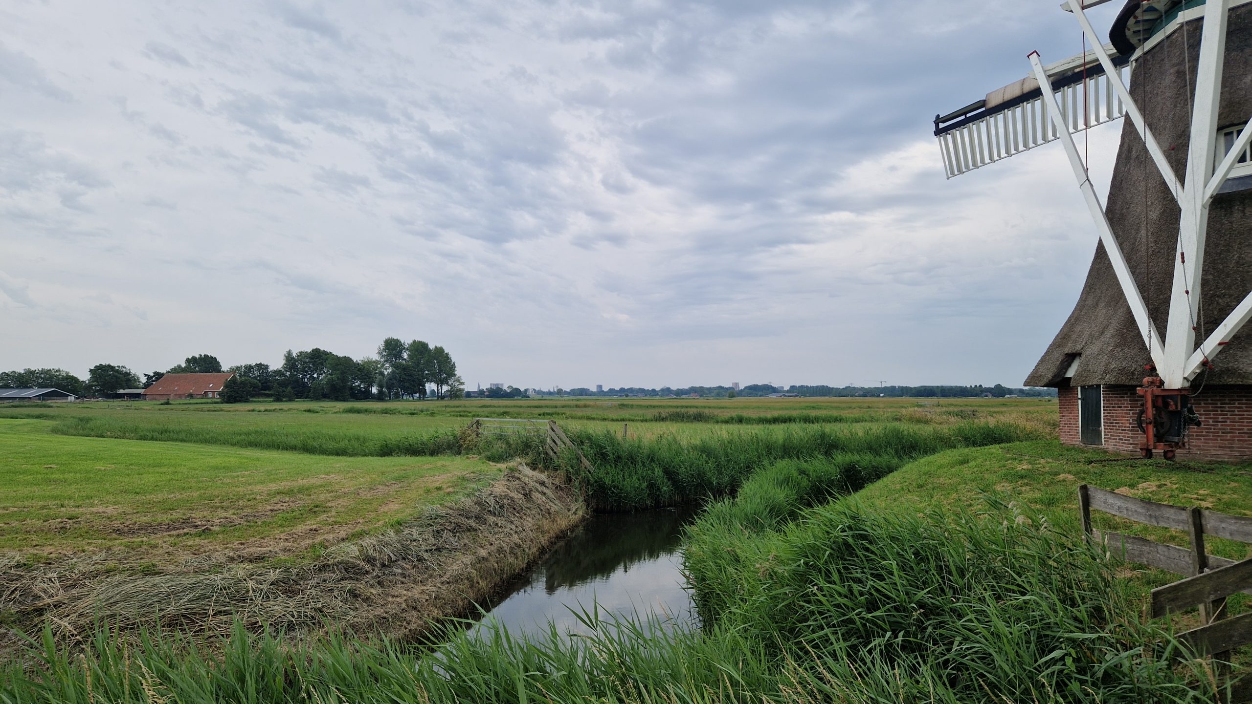 Koningslaagte en molen