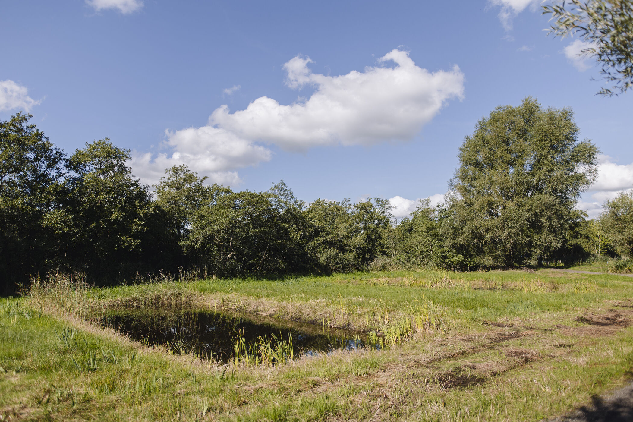 Bereikbaarheid Lettelberterpetten Het Groninger Landschap bereikbaarheid-lettelberterpetten-het-groninger-landschap