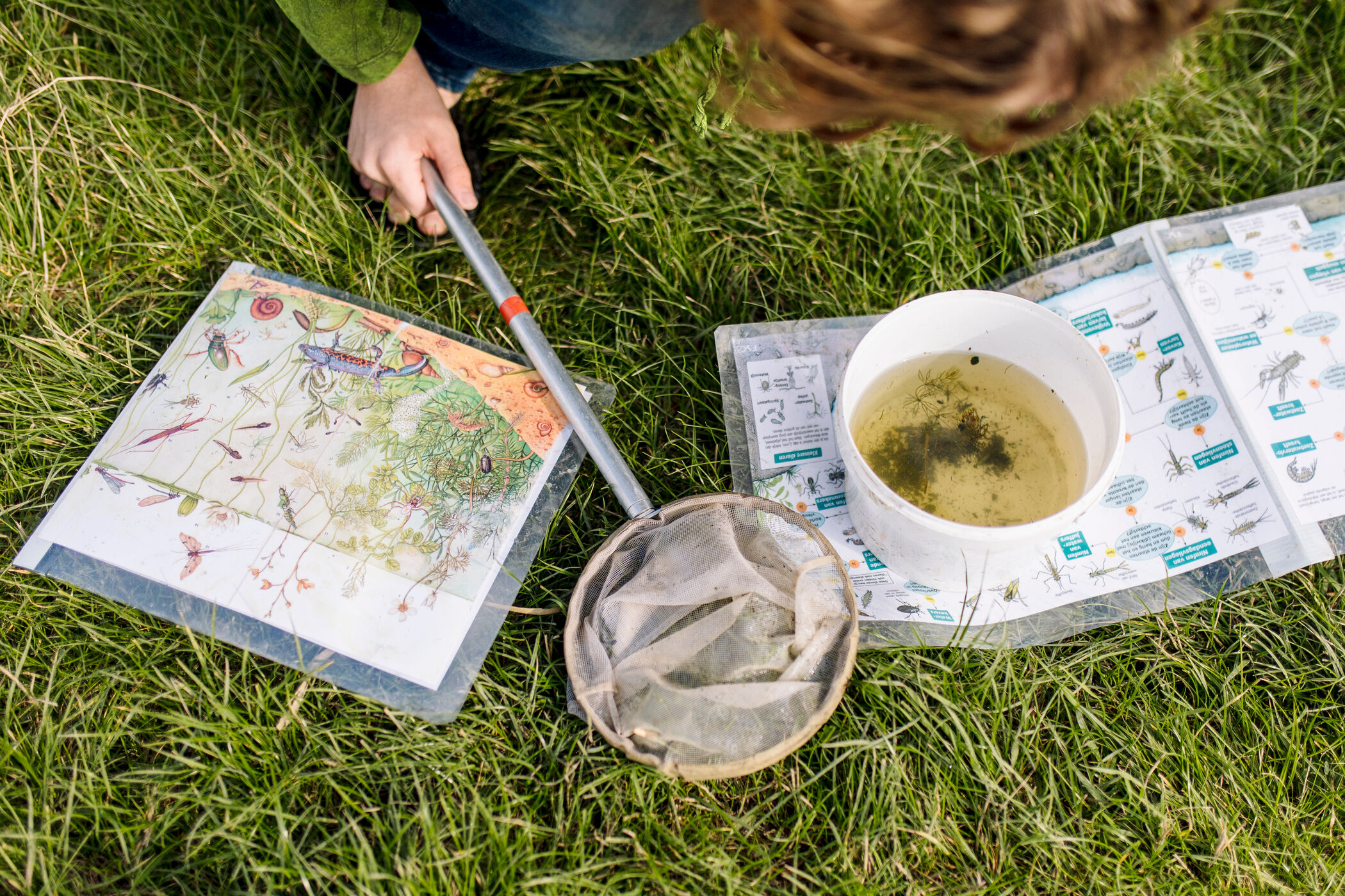 kind met emmer slootdiertjes en een schepnet