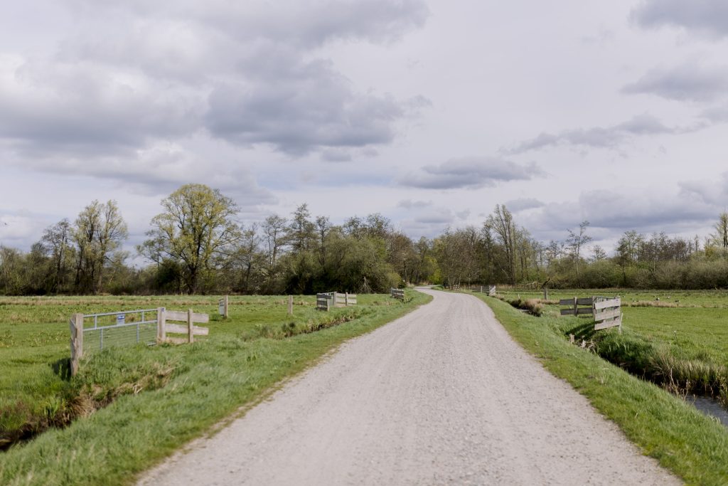 kronkelweg door weiland
