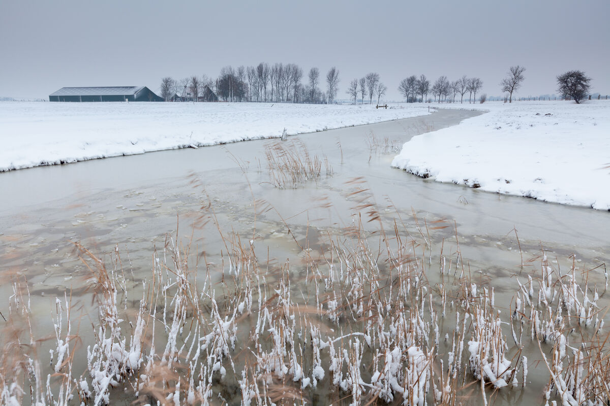 winterlandschap bevroren sloot