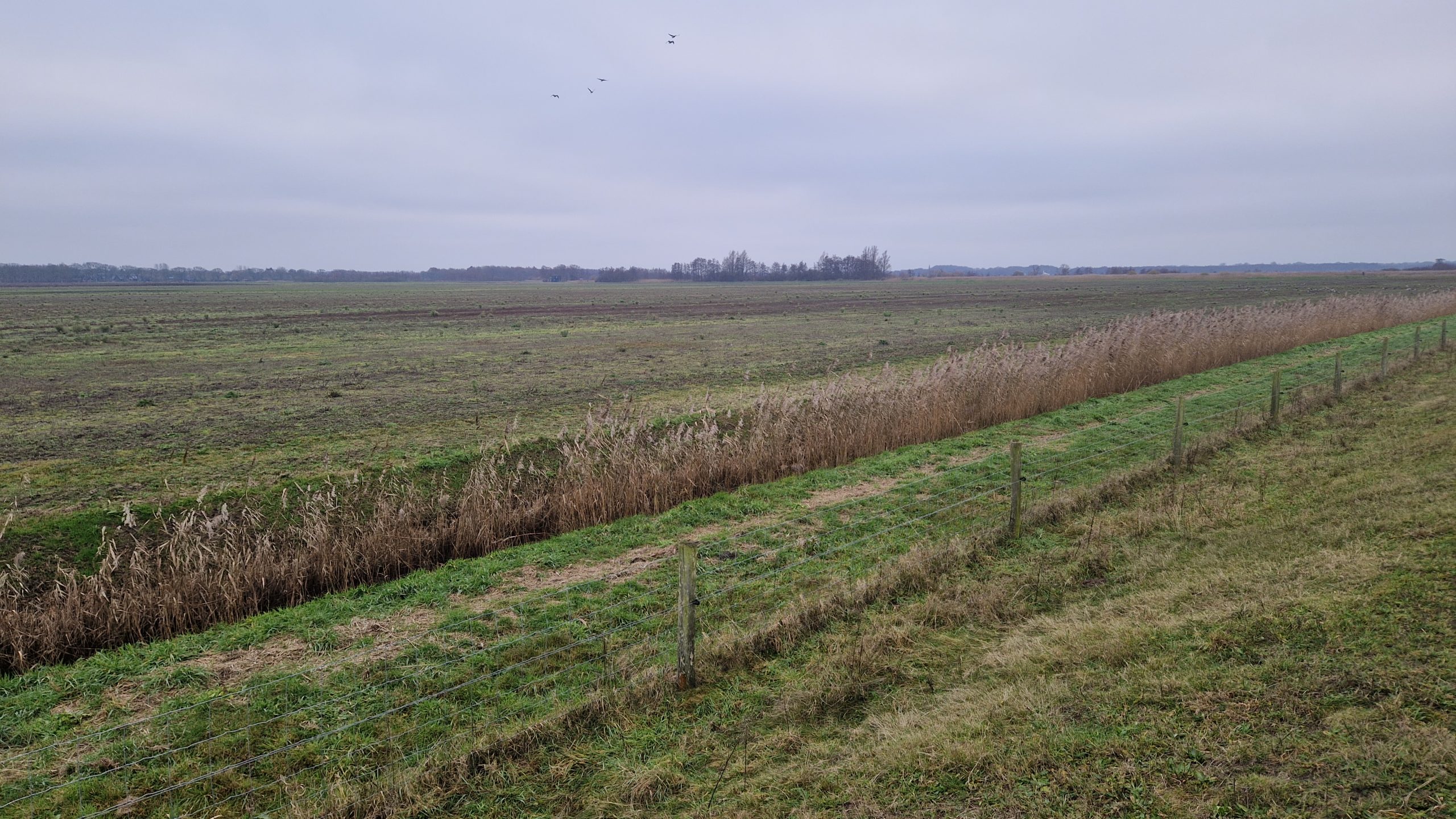 Nieuwe grondaankoop aan het Zuidlaardermeer nabij Wolfsbarge.