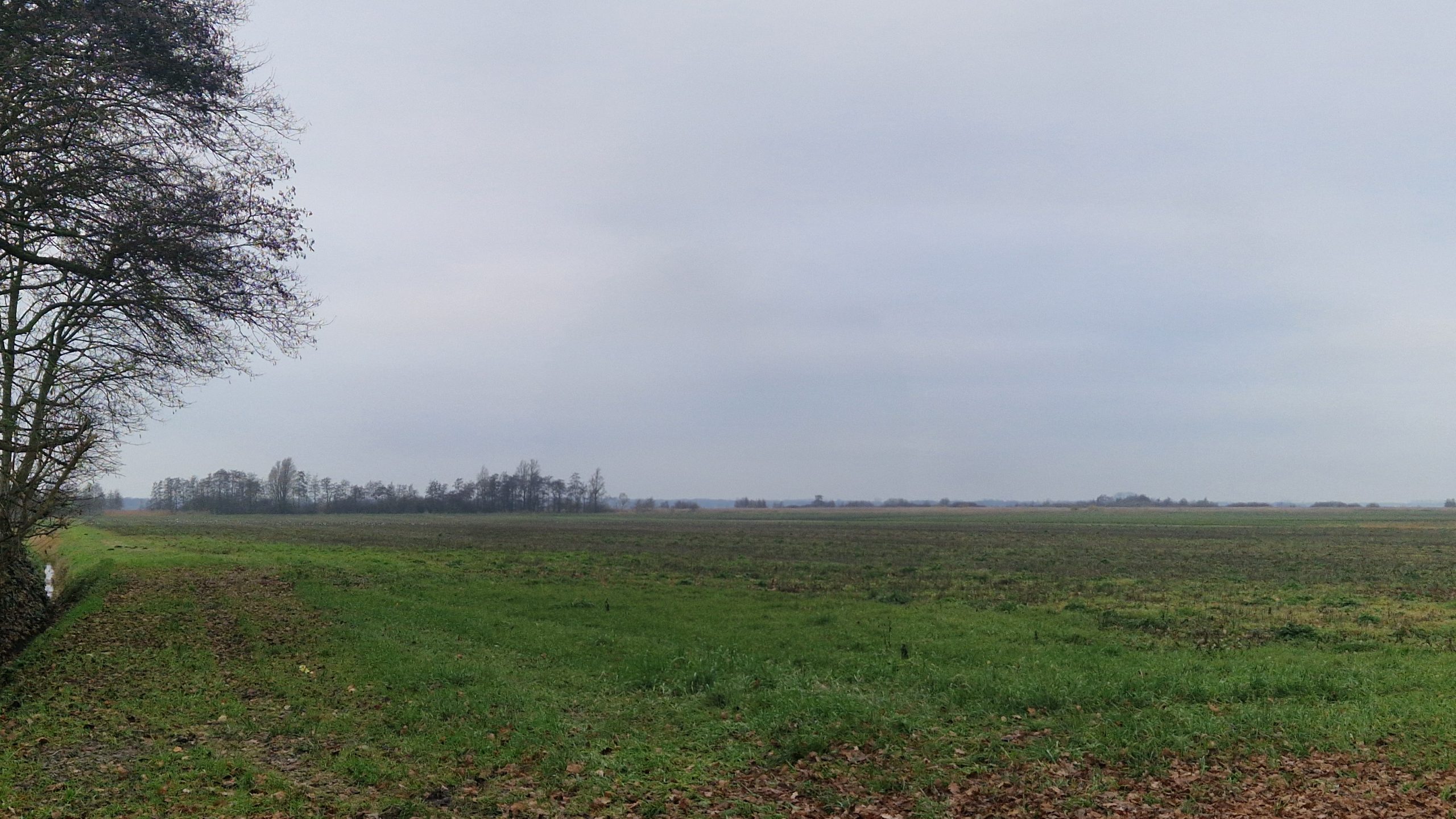 Nieuwe grondaankoop aan het Zuidlaardermeer nabij Wolfsbarge.