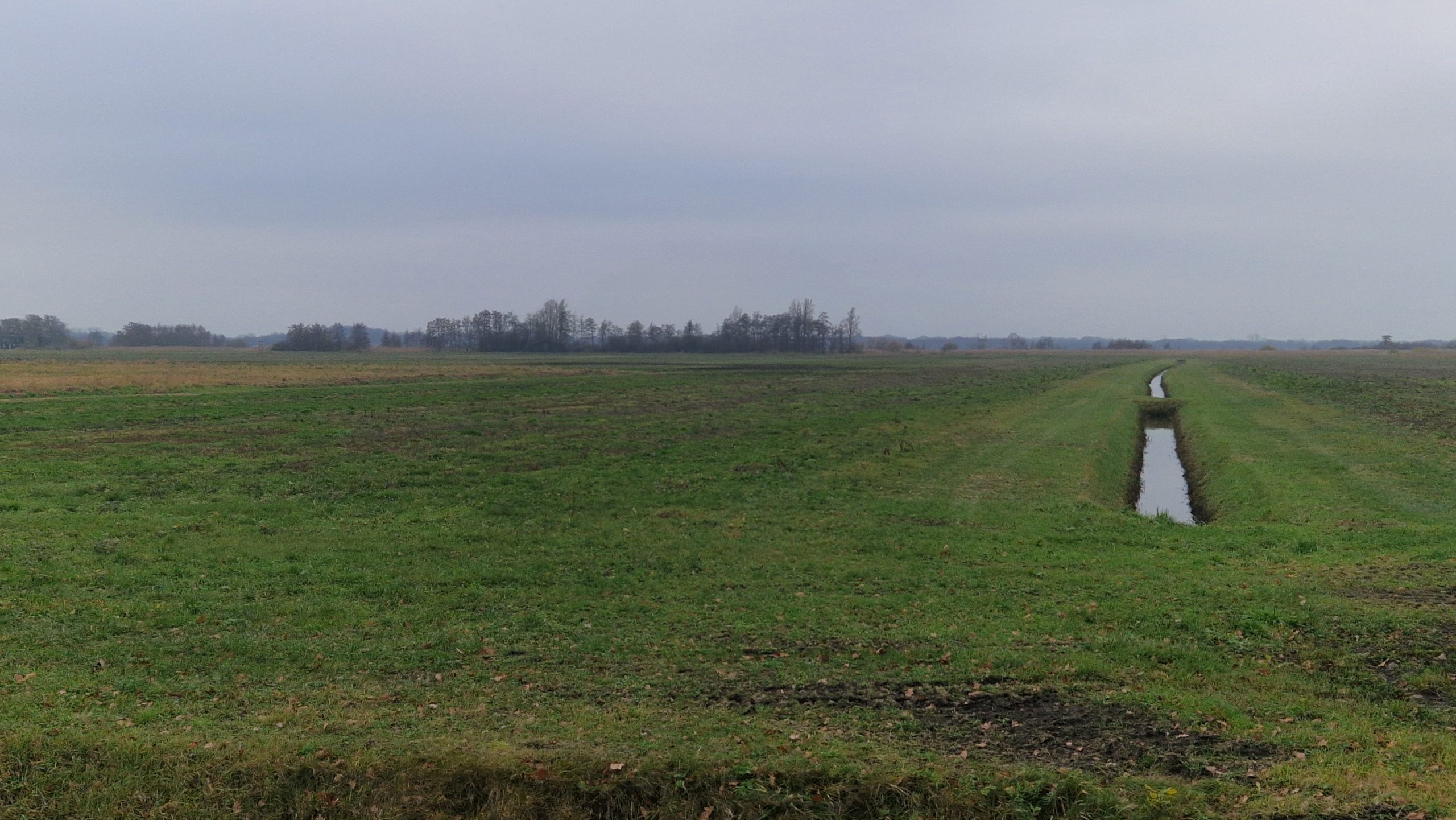 Nieuwe grondaankoop aan het Zuidlaardermeer nabij Wolfsbarge.