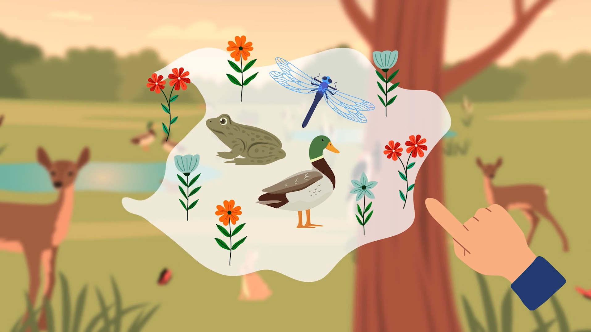 Animatie klimaatpoelen